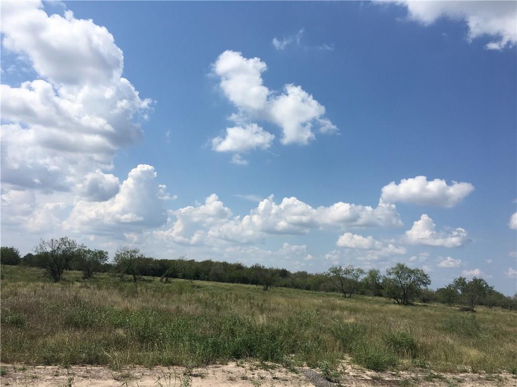 185 County Road 1162 - Photo 1