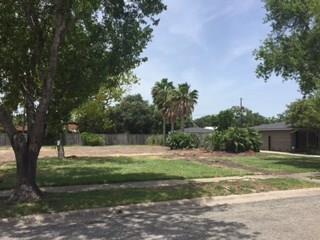 452 Catalina Pl - Photo 1