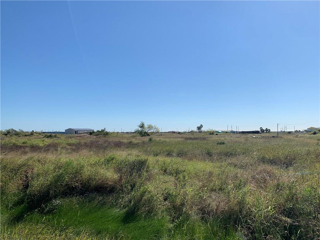 170 Allen M Parks Dr - Photo 1