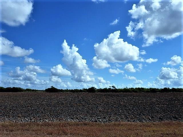 0000 Buddy Ganem (Fm 3239) 8.698 Acres - Photo 1