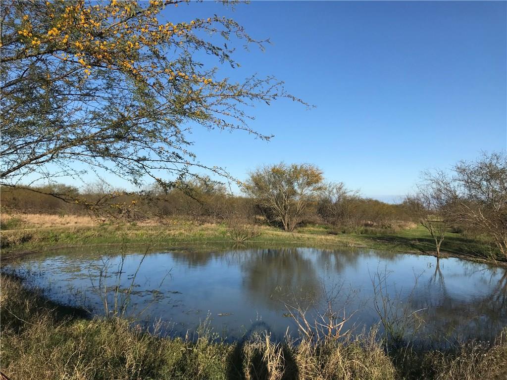 199 Cr 129- 42 Acres - Photo 1