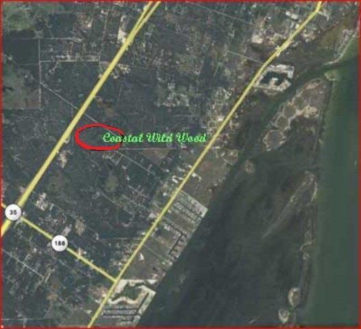 265 Coastal Wildwood Dr - Photo 1