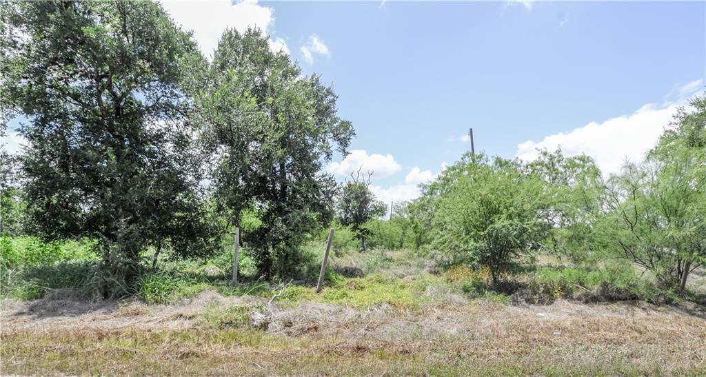 0 Easley - Photo 1