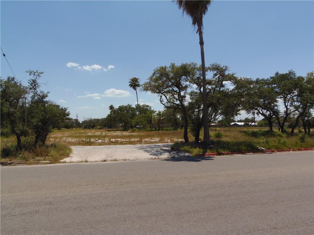 1661 Yoakum Ave - Photo 1