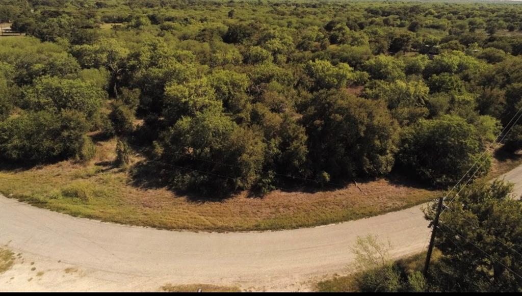 0 Easley Lane - Photo 1