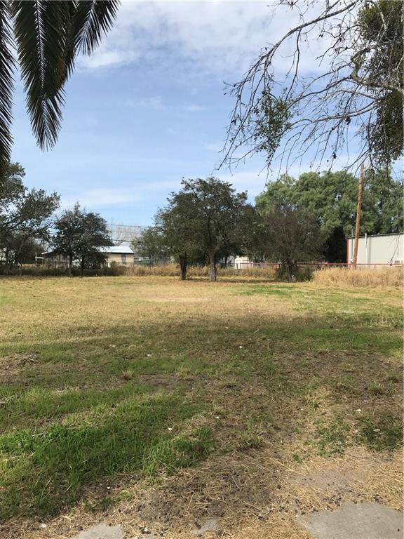 908 State Highway 359 - Photo 1