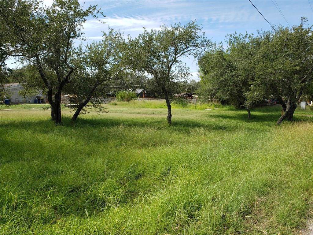 LT 12-C Hackberry - Photo 1