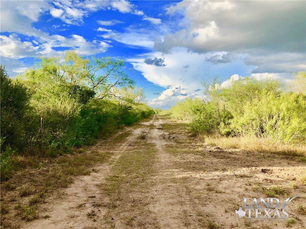 0 Cr 206- 35.56 Acres "Adams Ranch" - Photo 1