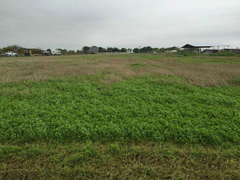 7005 County Rd 2004 - Photo 1