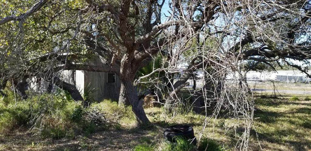 399 Laurel Street - Photo 1