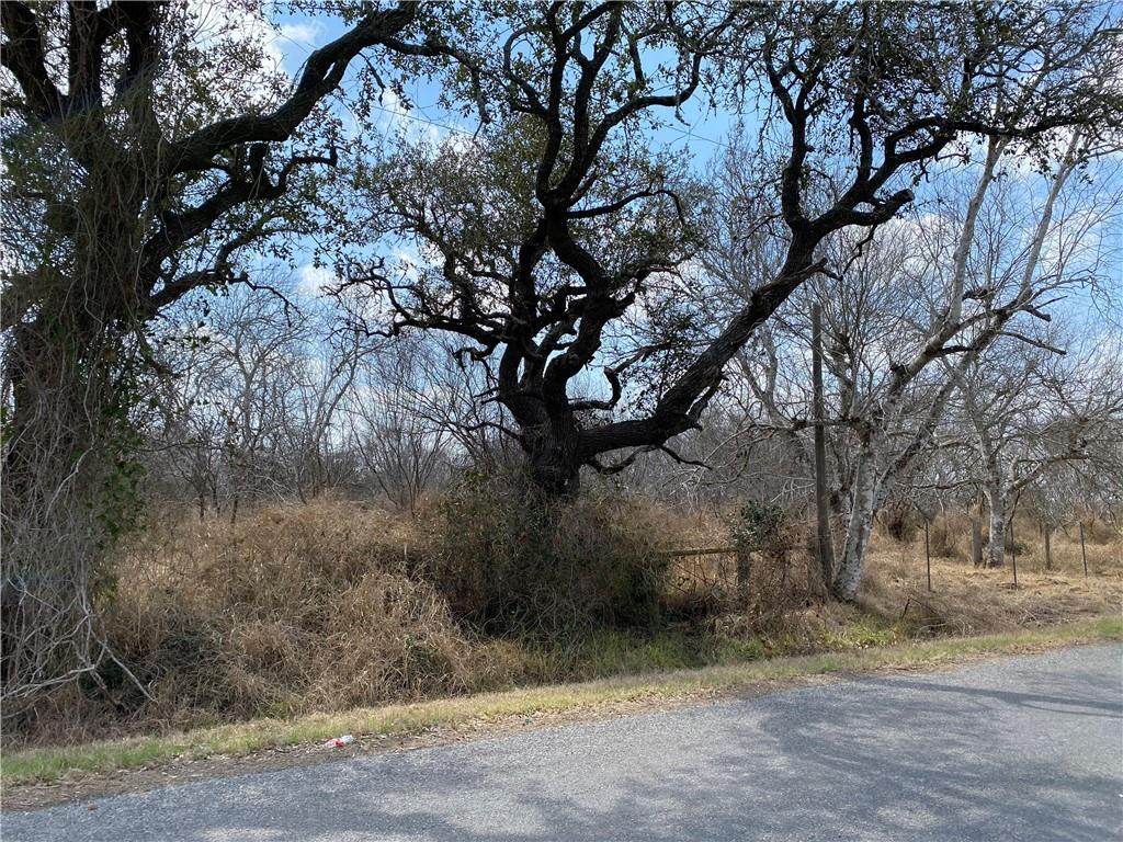 Tract 1 County Road 1196 & 2431 - Photo 1