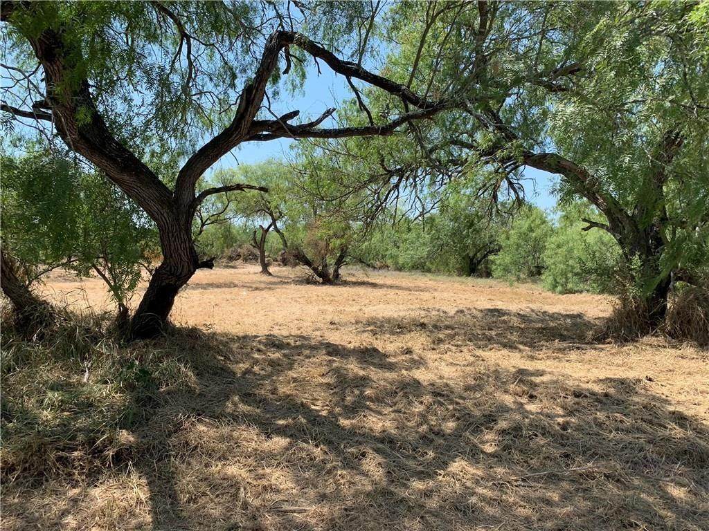 0 Guadalupe- .34 Acre Lot Street - Photo 1