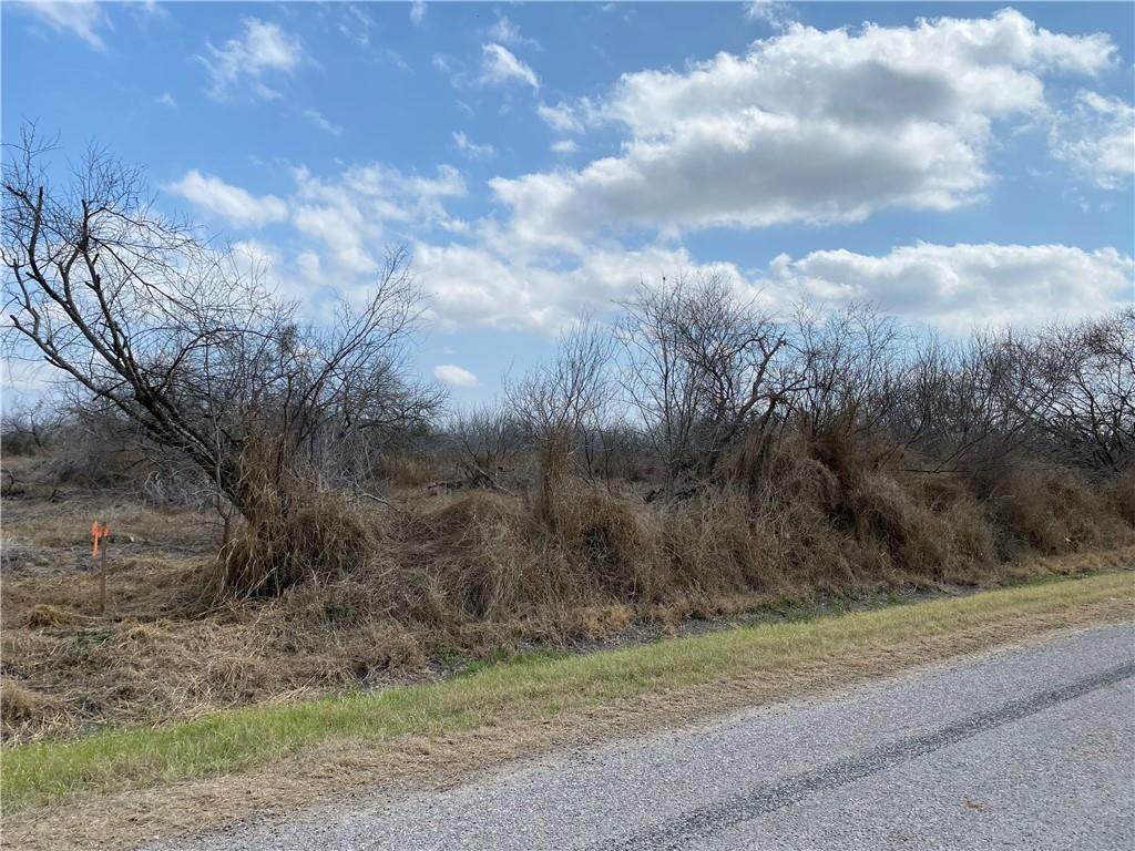 Tract 2 County Road 2431 - Photo 1
