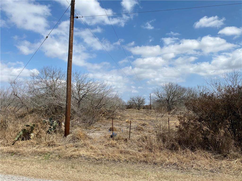 Tract 4 County Road 2431 - Photo 1