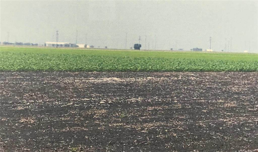 FM 631 Fm 631 & County Rd 1360 - Photo 1