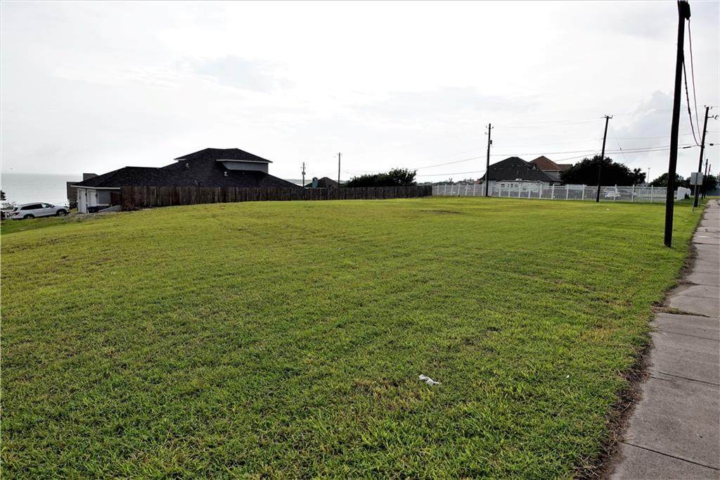 1001 Bluff Drive - Photo 1