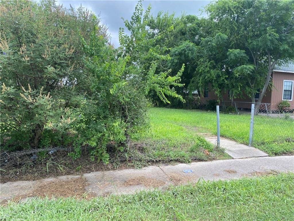 3017 Reyna Street - Photo 1
