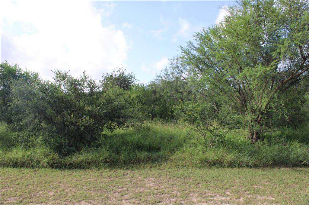 Lot 5 Vista Fina Dr. - Photo 1