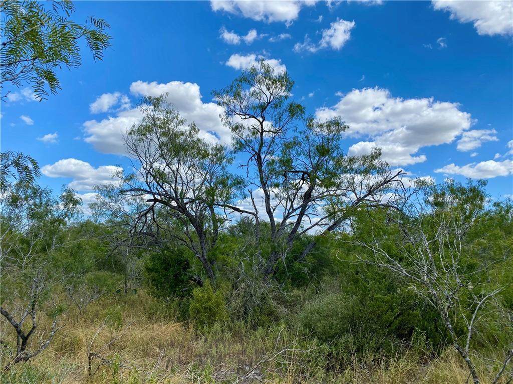 0 Hwy 72 & Fm 2049 - Photo 1