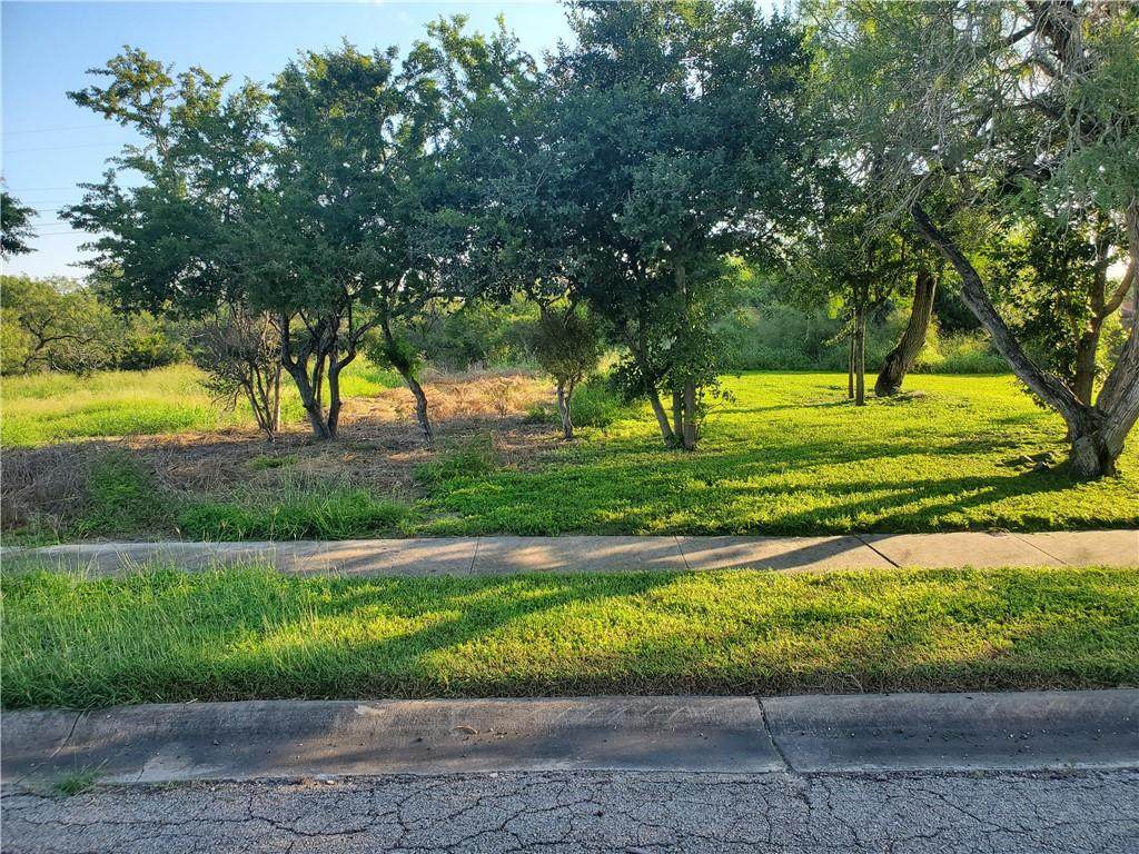 13710 Hillwood Trail - Photo 1