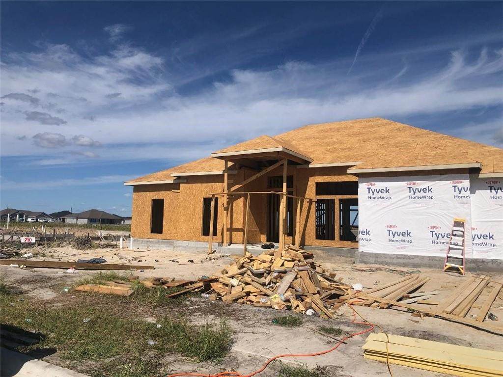 710 Mama Fefi Drive - Photo 1