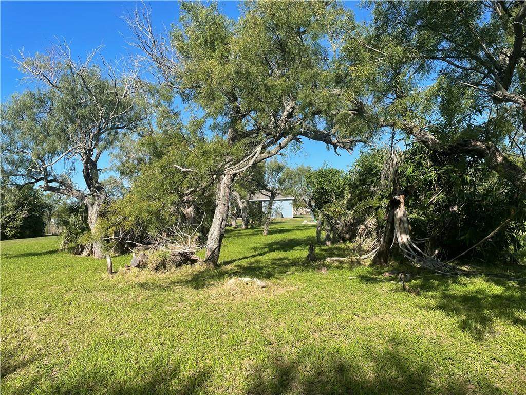 417 1st Street - Photo 1
