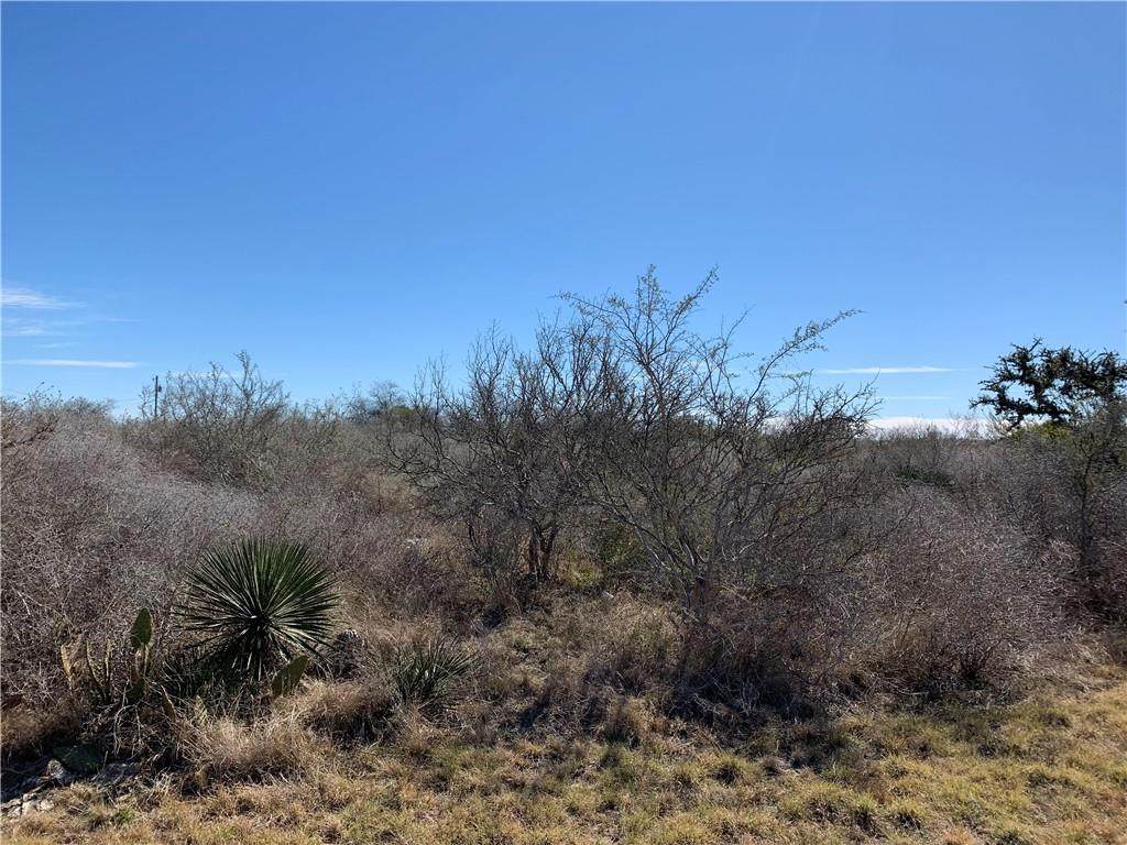 TBD Hillside Ln - Photo 1