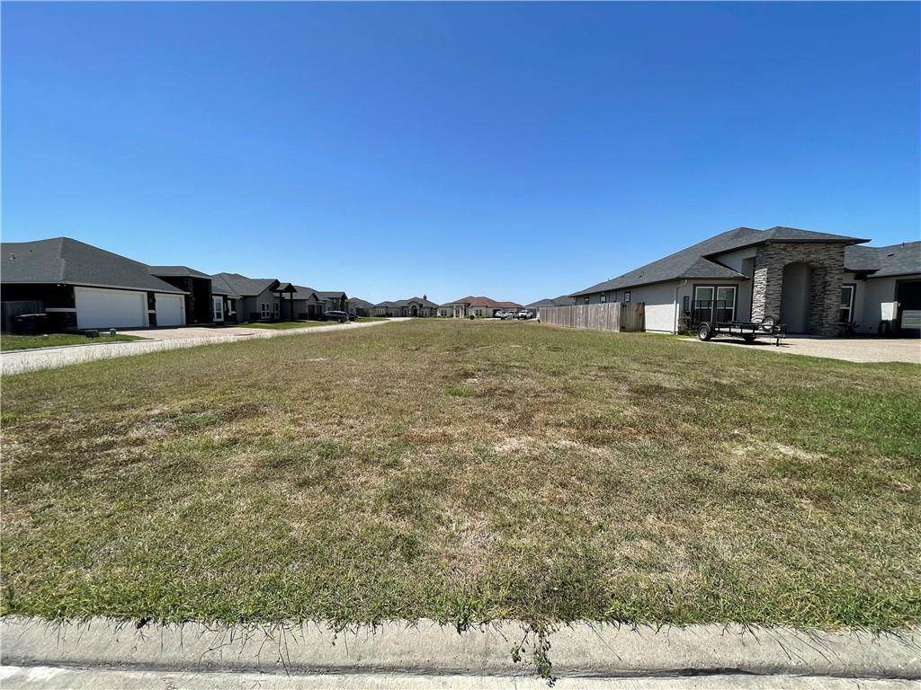 8409 Shaq Lane - Photo 1