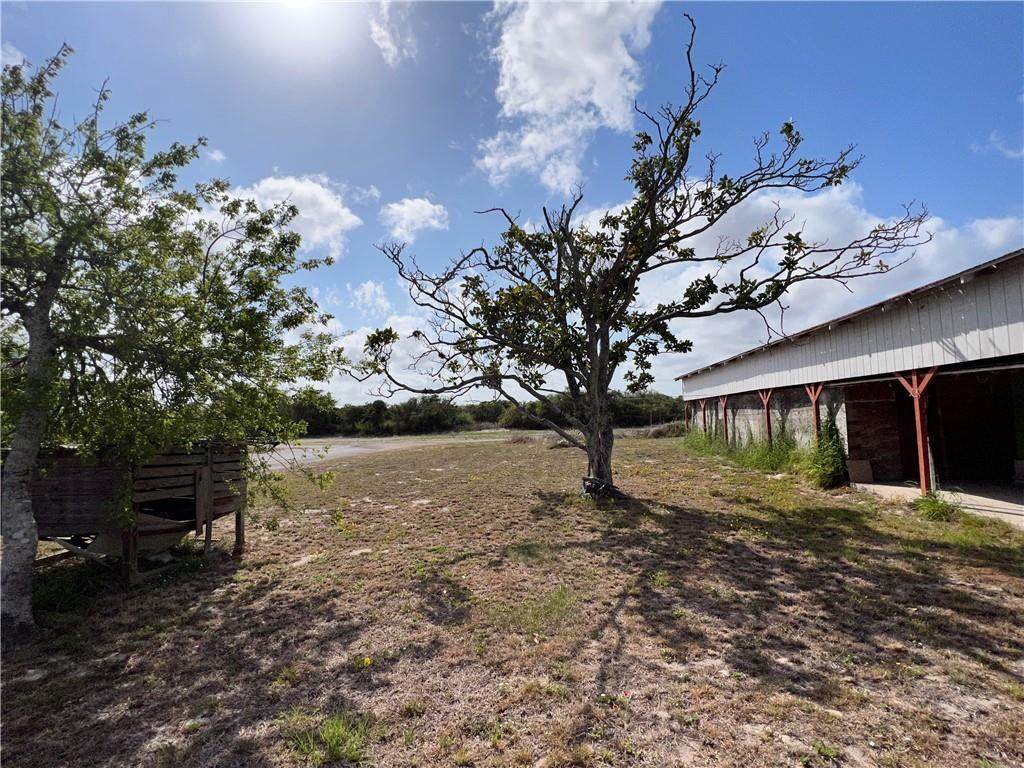 654 Magnolia Avenue - Photo 1