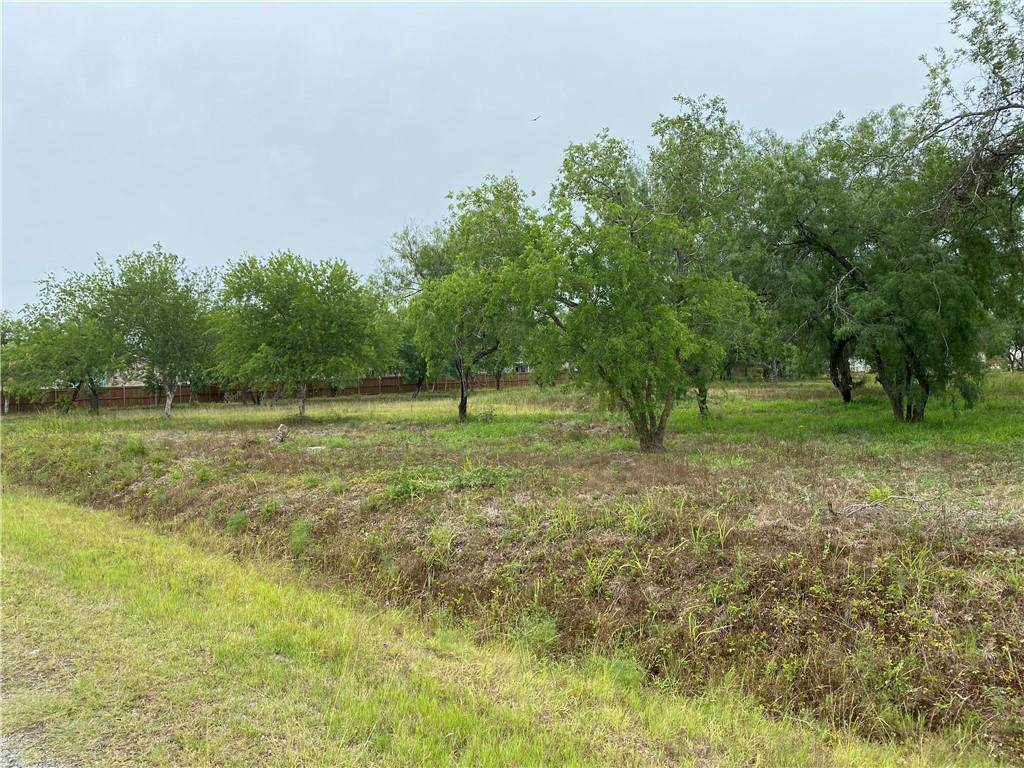 0 Cemetery - Photo 1