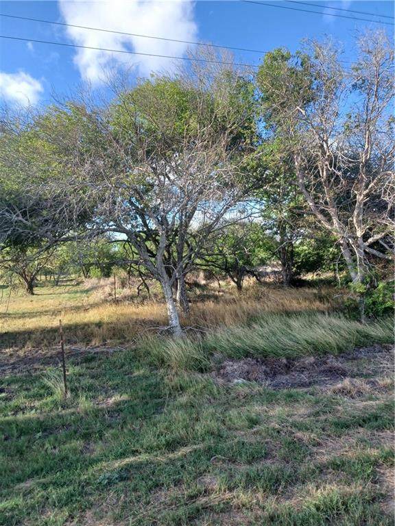 000 County Rd 1360 & Fm 631 - Photo 1