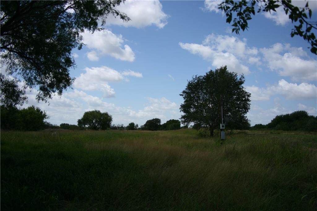 12699 County Road 1272 - Photo 1