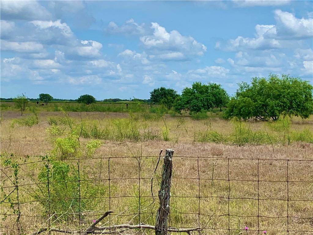 TBD #2 County Road 2431 - Photo 1