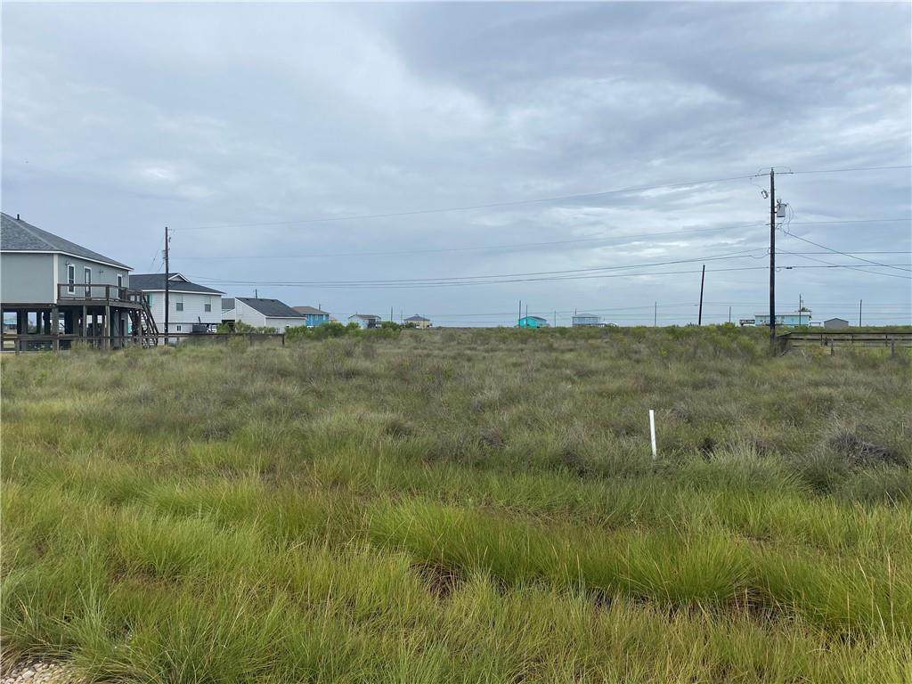 362 Misty Oak Lane - Photo 1