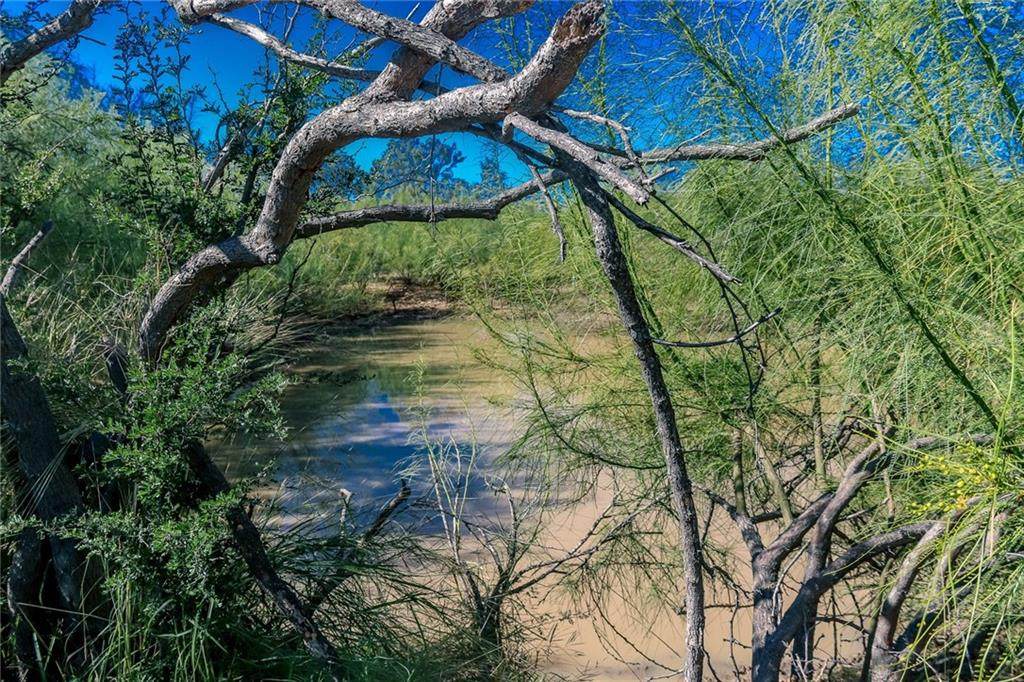 0 80 Acres- Buddy's Lane - Photo 1
