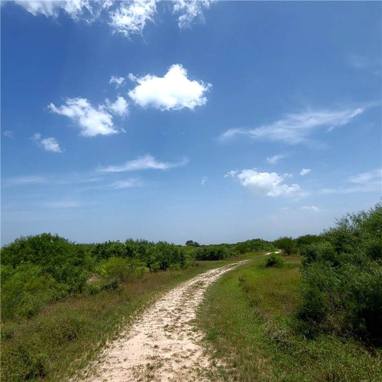 00 Hwy 281 - Photo 1