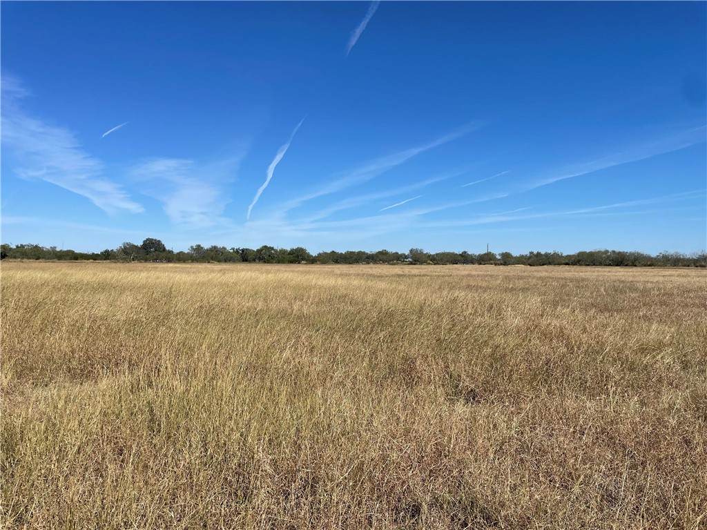 542 County Road 520 - Photo 1