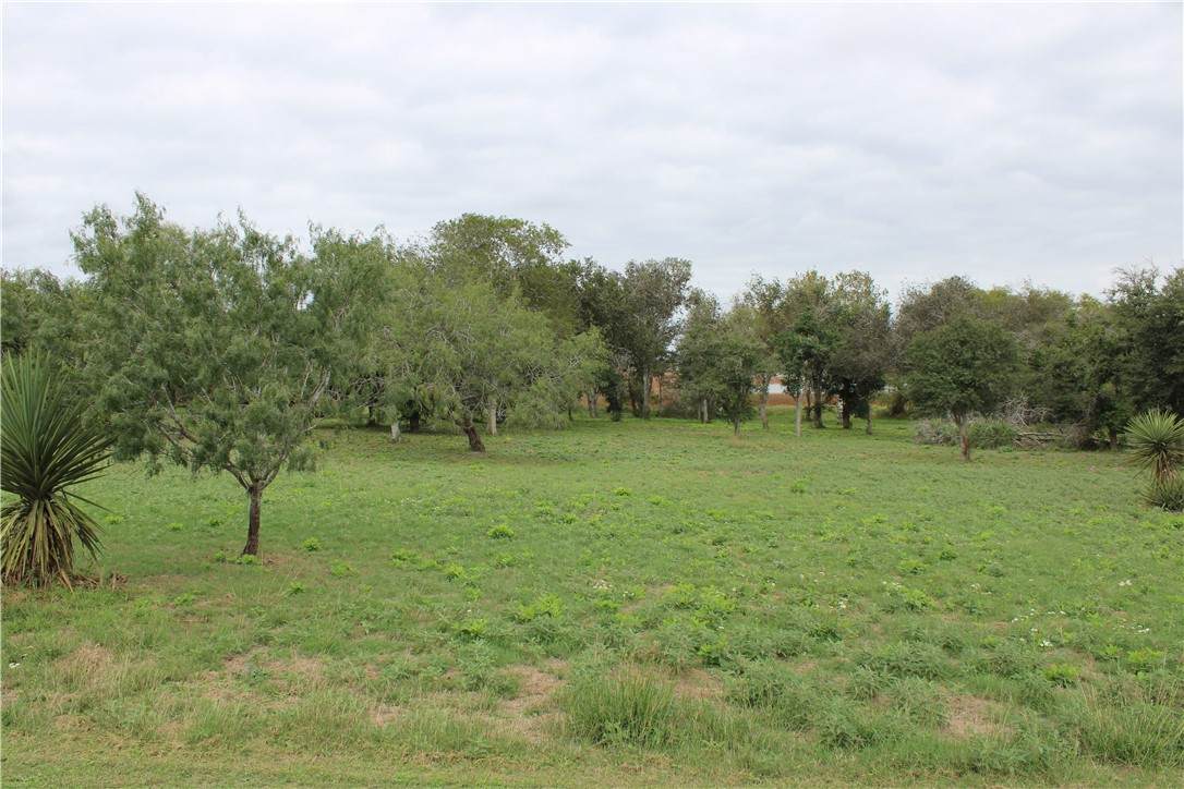 00 Lot 14 Vista Fina Dr. - Photo 1