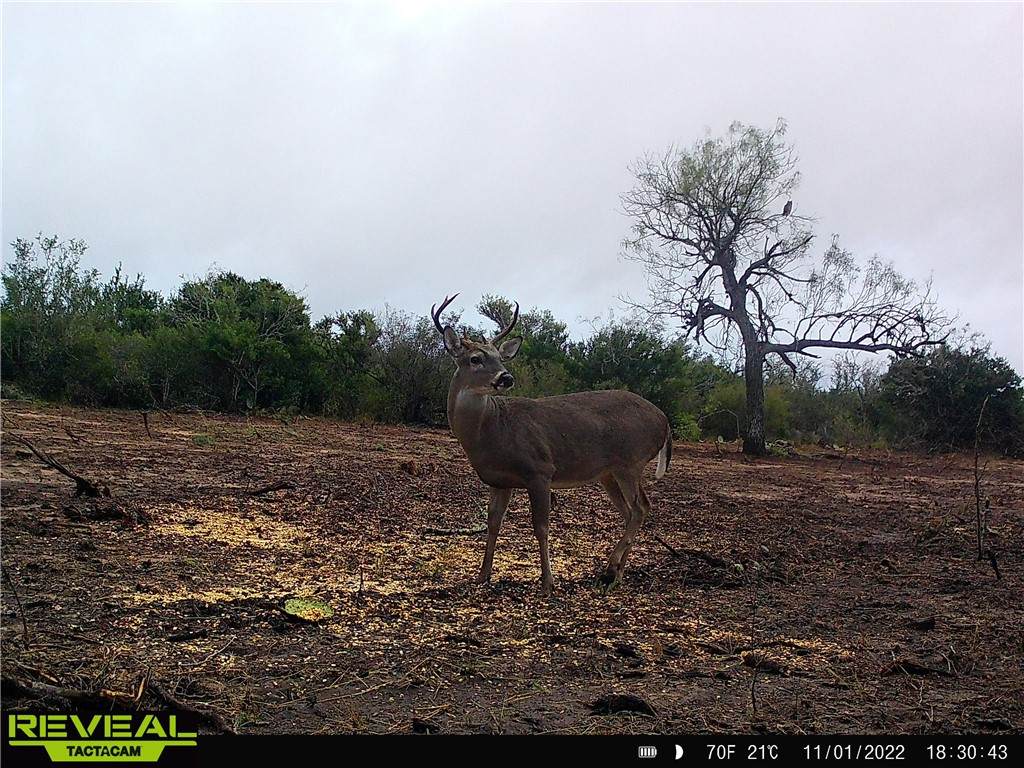 2124 County Road 104 - Photo 1