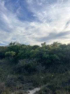 https://bt-photos.global.ssl.fastly.net/corpuschristi/orig_boomver_1_417175-2.jpg