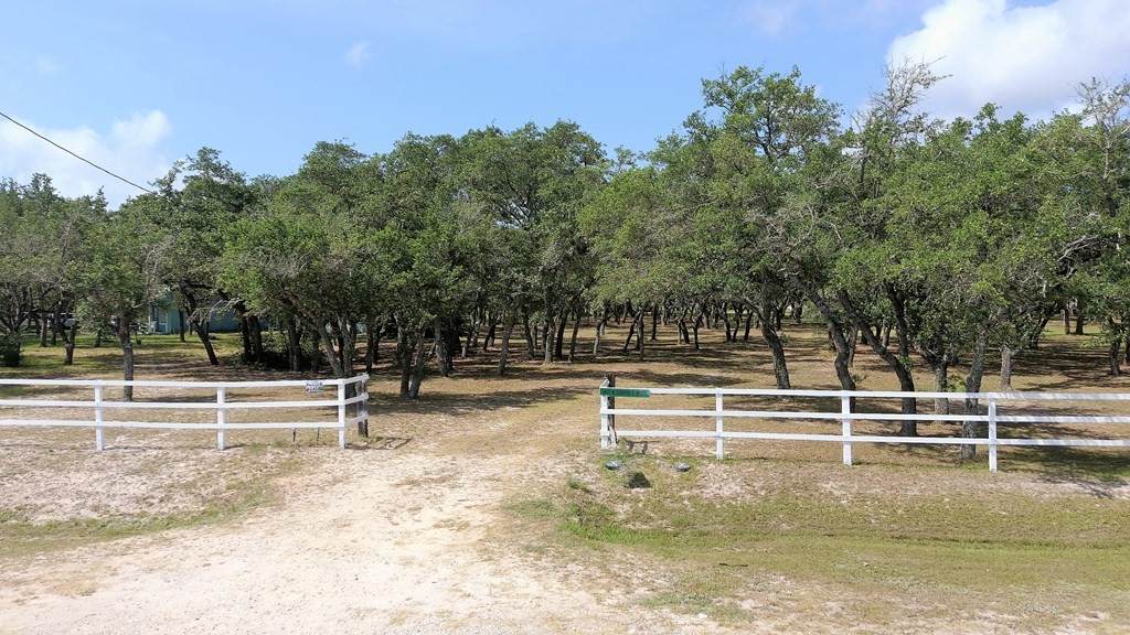 1413 Corpus Christi Street - Photo 1