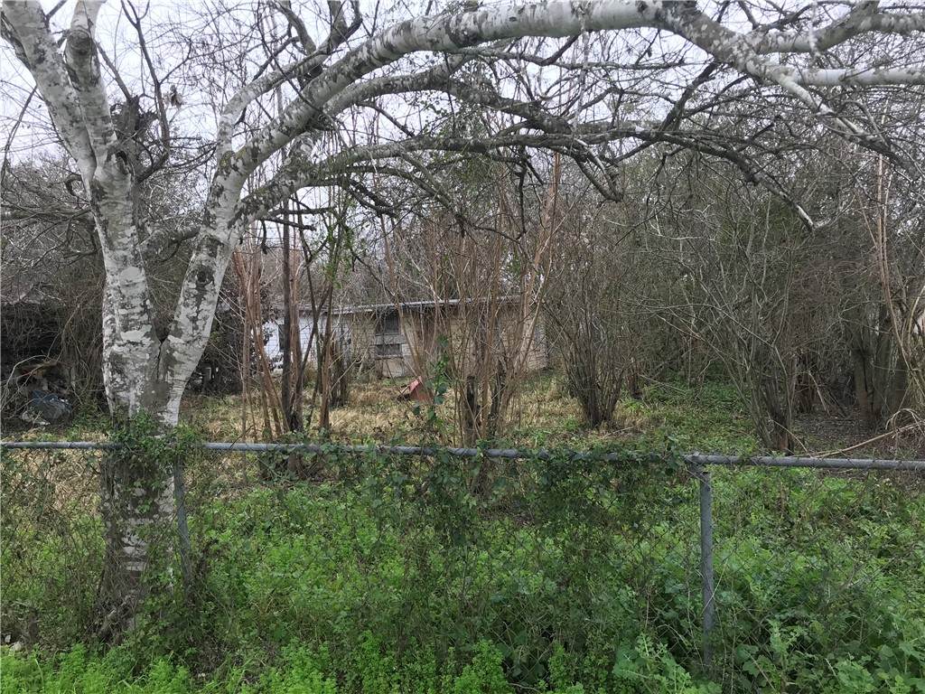 https://bt-photos.global.ssl.fastly.net/corpuschristi/orig_boomver_1_430947-2.jpg