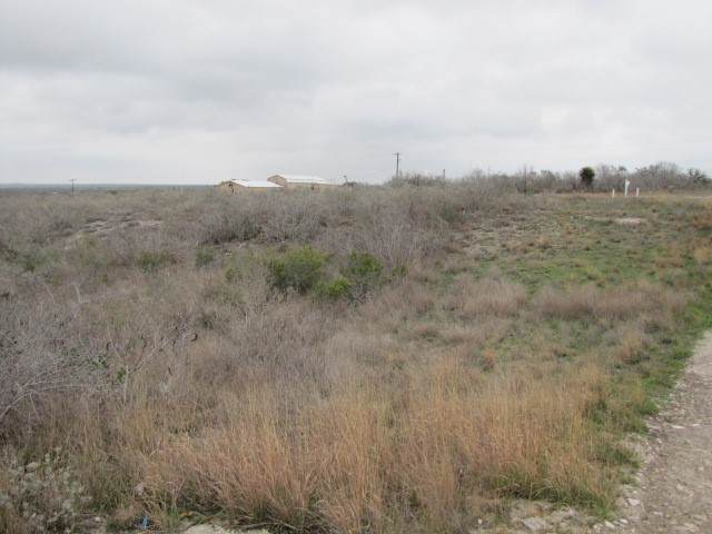 https://bt-photos.global.ssl.fastly.net/corpuschristi/orig_boomver_1_435084-2.jpg