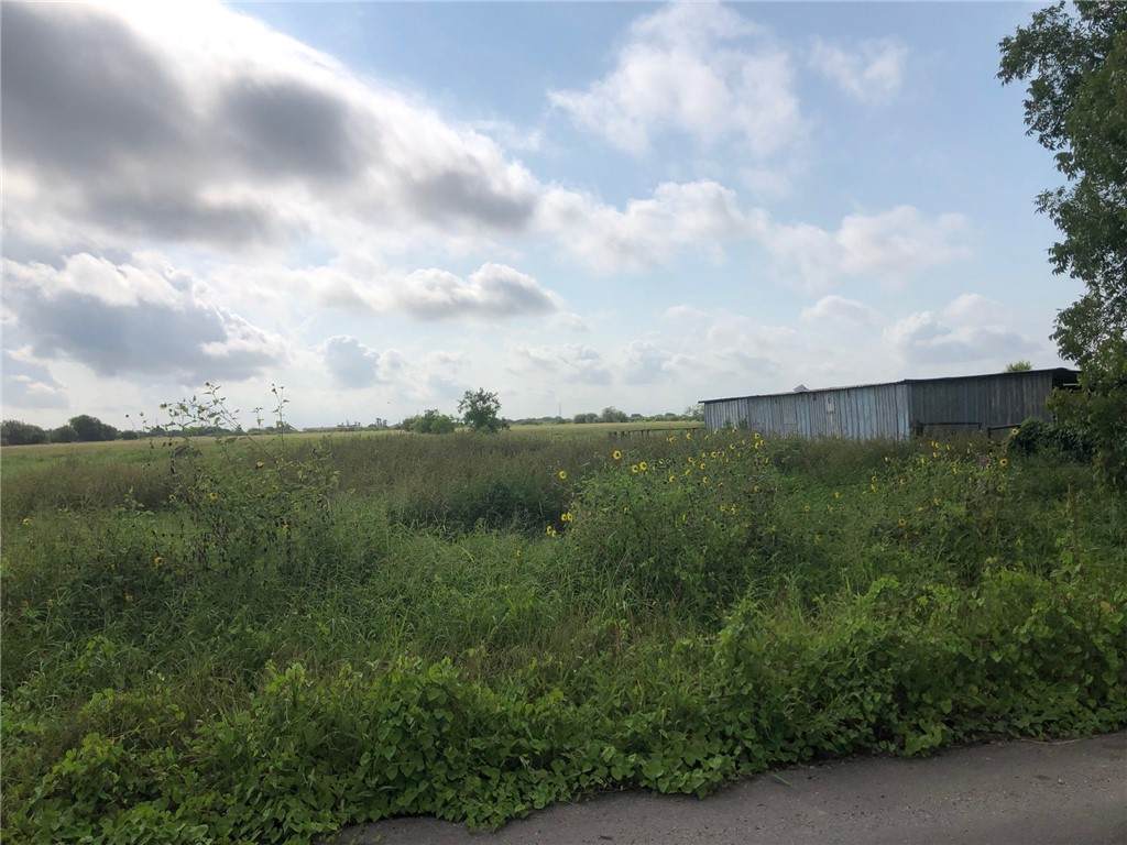 20 ac Bauer Road - Photo 1