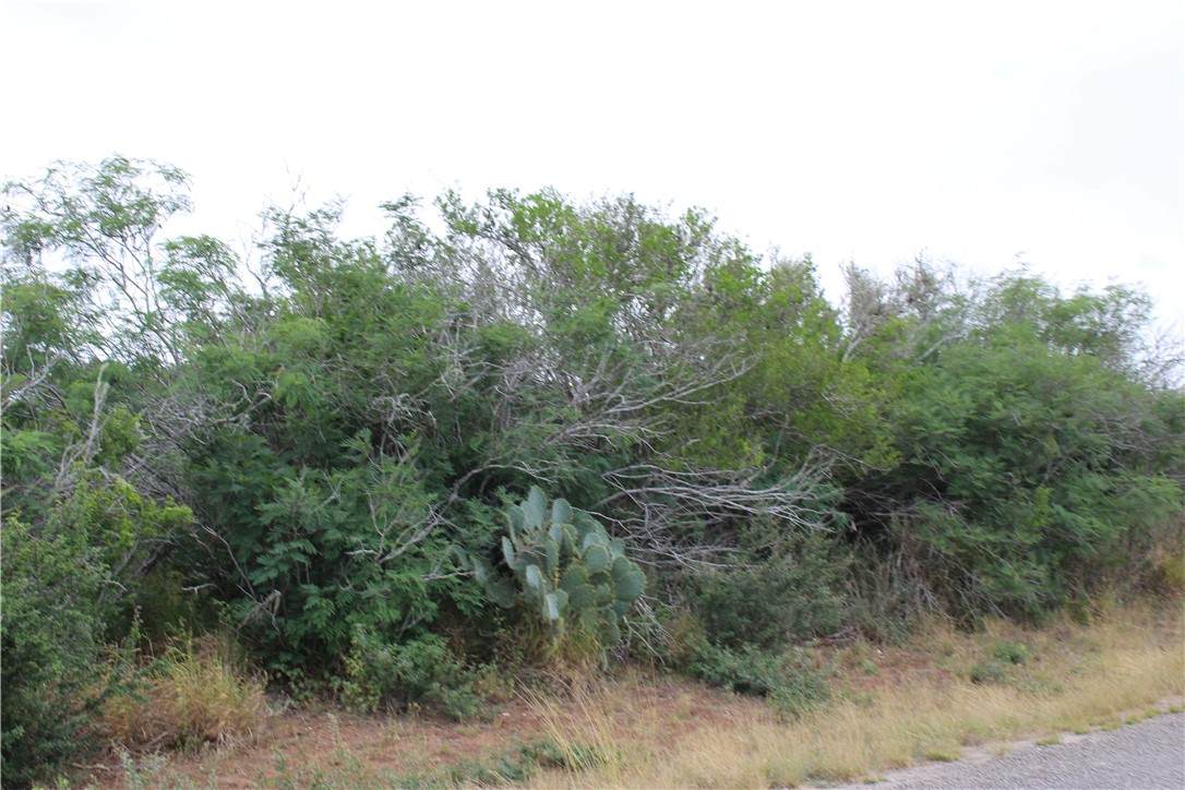 https://bt-photos.global.ssl.fastly.net/corpuschristi/orig_boomver_1_441107-2.jpg