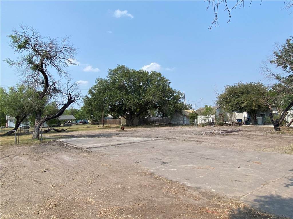 1019 Sinton Street - Photo 1