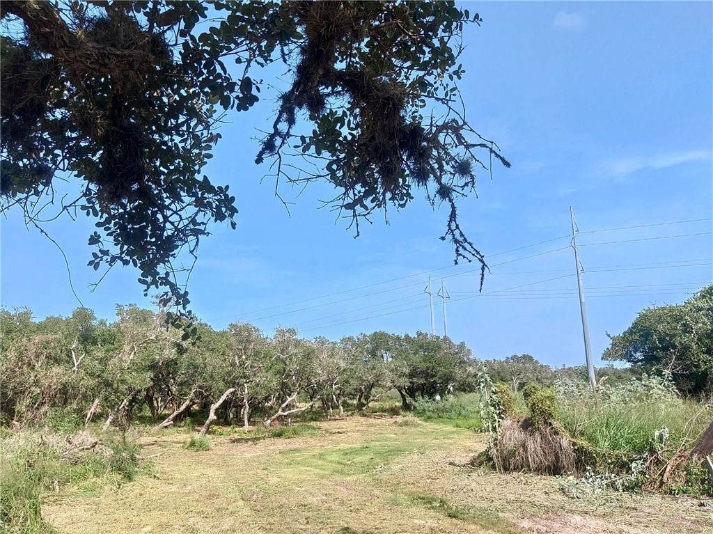 294 Tedford - Photo 1