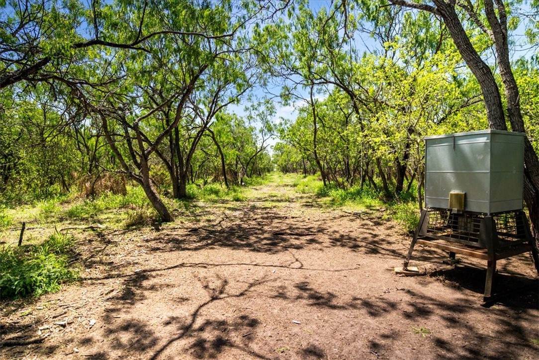 000 Cr 175 - Photo 1