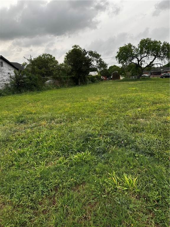 410 Huisache Avenue - Photo 1