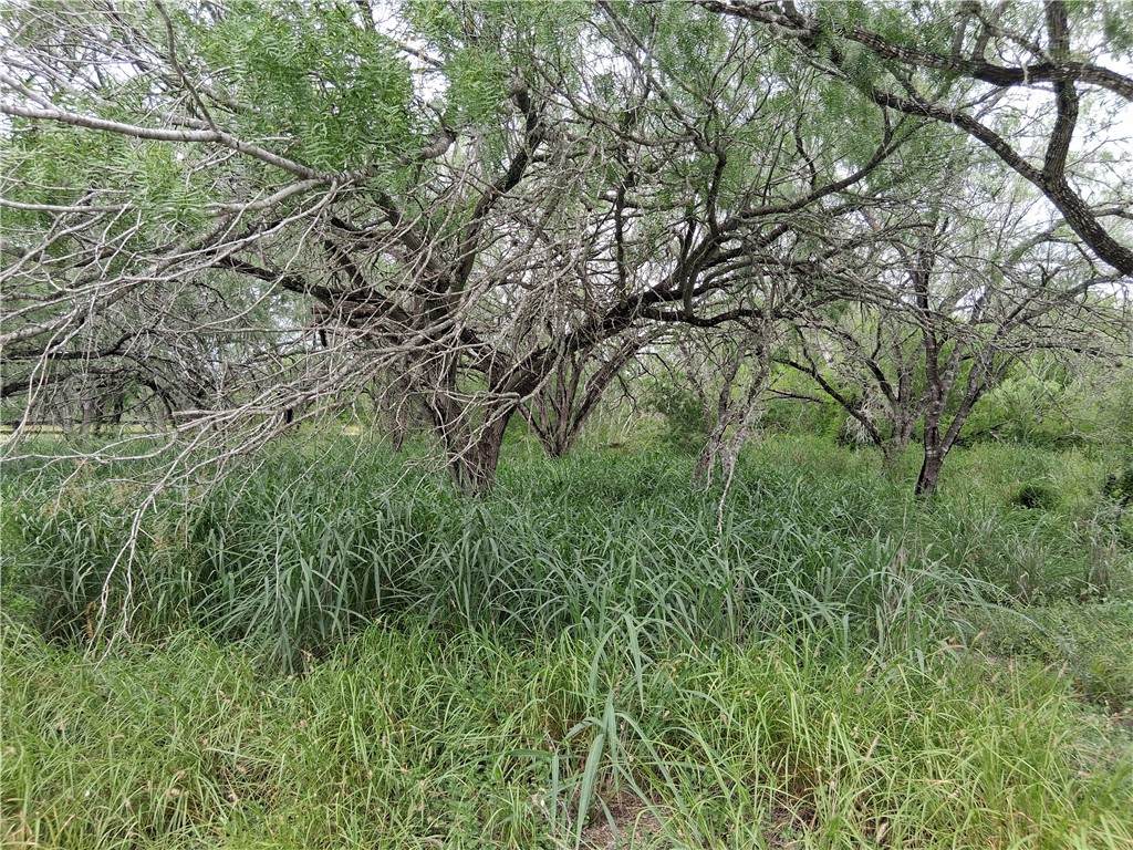 0 Swinney Switch Shores Rd - Photo 1